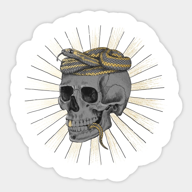 Skull with Snake Sticker by LauraGraves